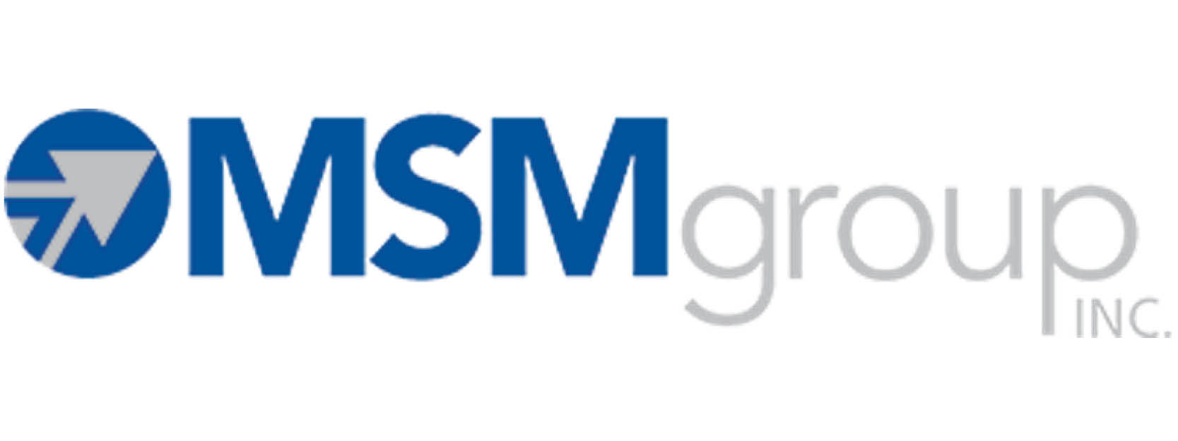 MSM Group logo