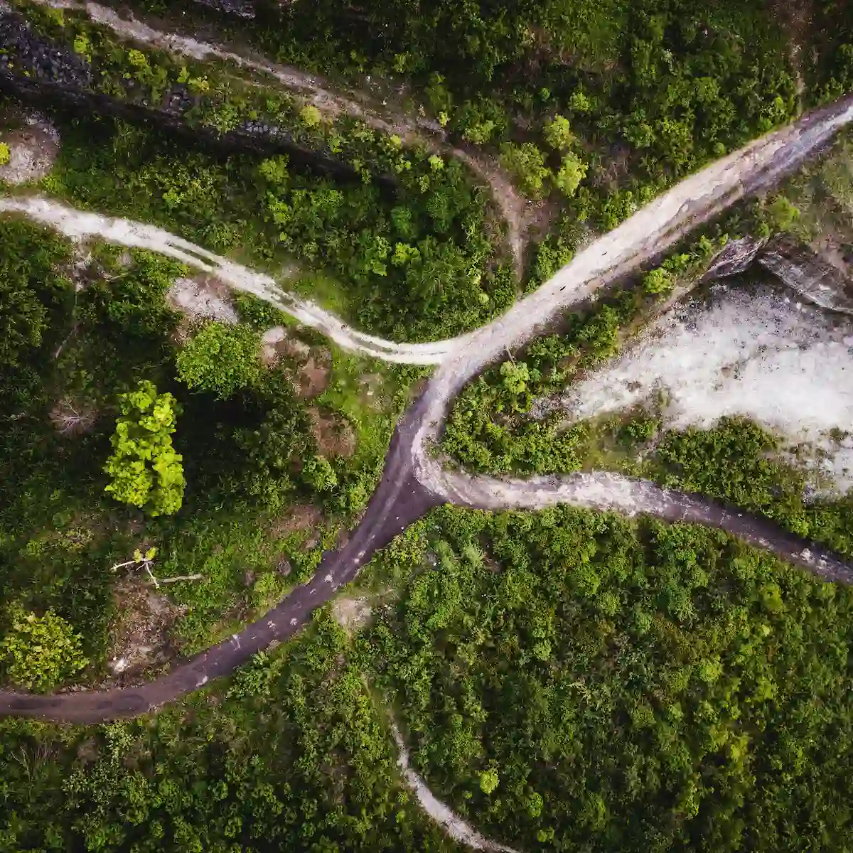 sustainable roadway surrounded by green forest in Northeast Ohio